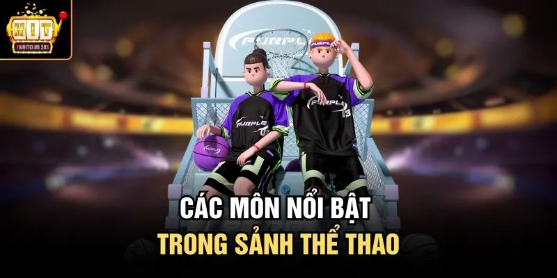 Các môn nổi bật trong sảnh thể thao