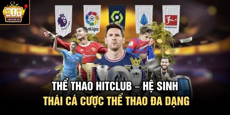 Thể thao hitclub